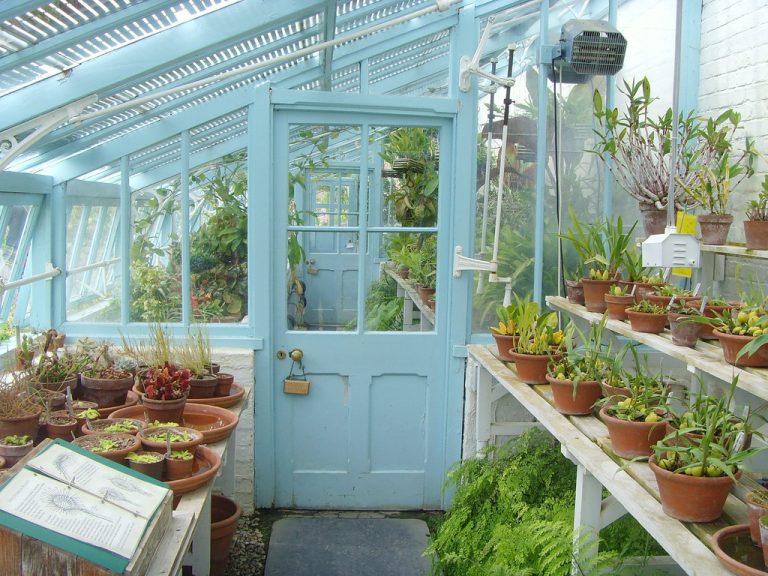 greenhouse roofing