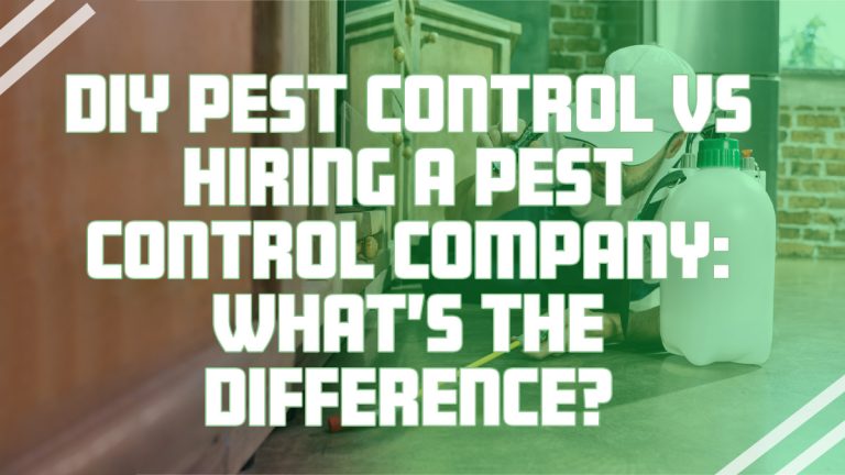 DIY pest control vs professional pest control