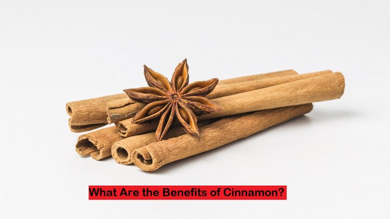 Cinnamon in white background