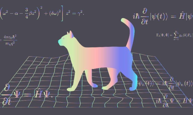 illustration vector cat