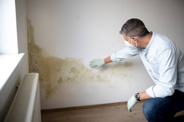 Mold Growth